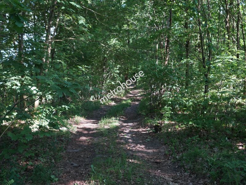 Działka na sprzedaż, Tucholski, Wielki Mędromierz