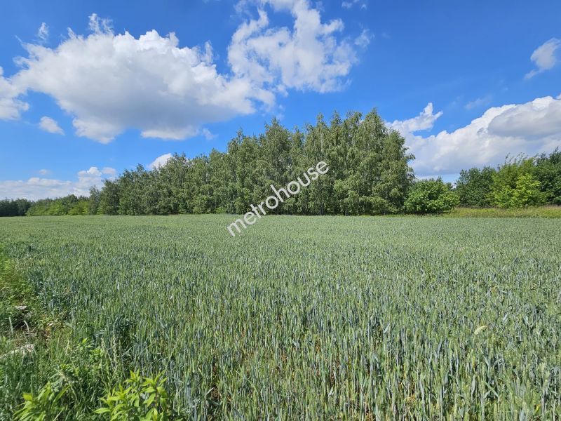 Działka na sprzedaż, Piaseczyński, Lesznowola, Władysławów