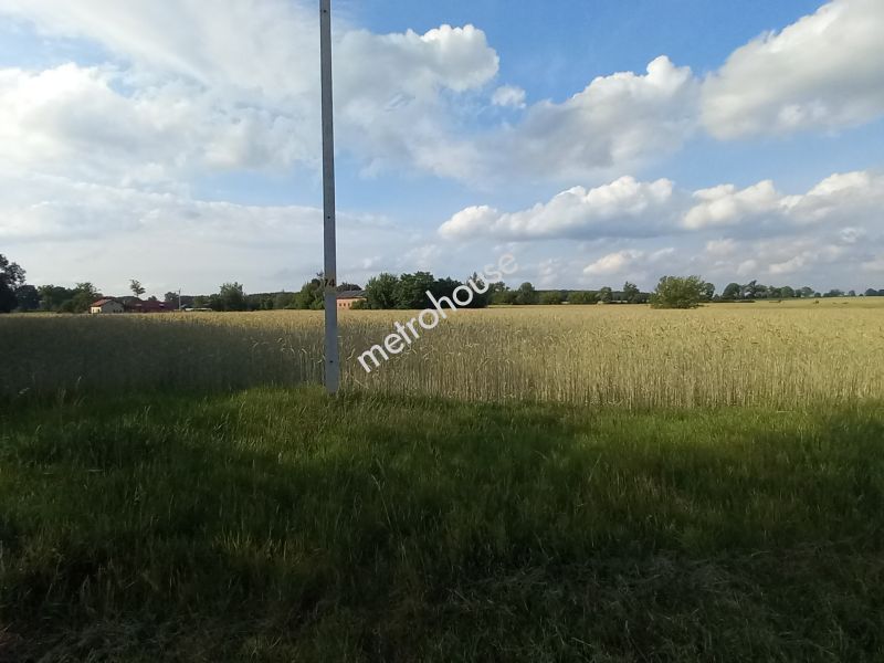 Działka na sprzedaż, Zduńskowolski, Lichawa, Kolonia Lichawa