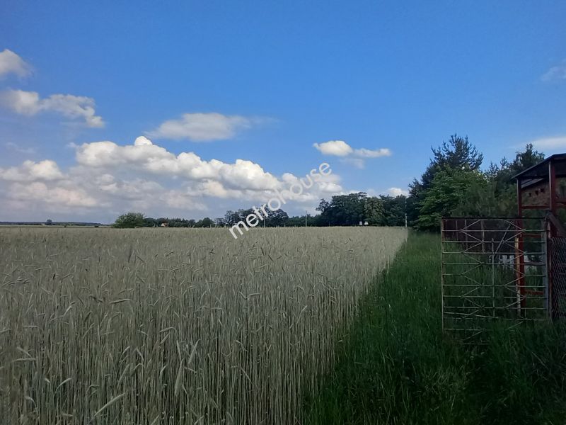 Działka na sprzedaż, Zduńskowolski, Lichawa, Kolonia Lichawa