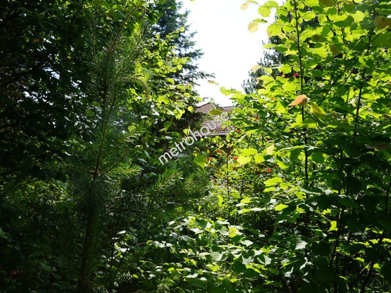Dom na sprzedaż, Tucholski, Trzebciny