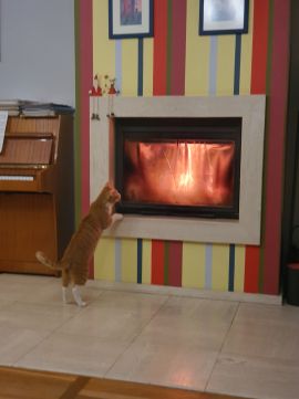 Sprzedaż Dom Łódź