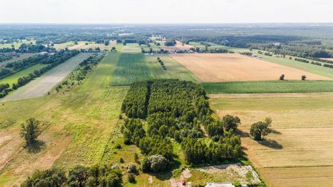 Sprzedaż Działka Herbaciana, Ruda-Bugaj, pow. zgierski