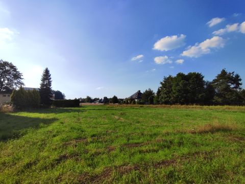 Sprzedaż Działka Czyżowicka, Wodzisław Śląski