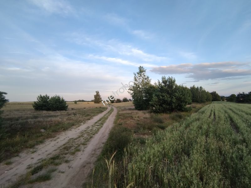 Gospodarstwo rolne na sprzedaż, Wyszkowski, Komorowo