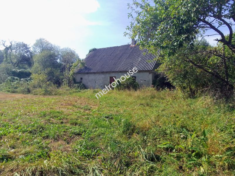 Dom na sprzedaż, Nowomiejski, Trzcin