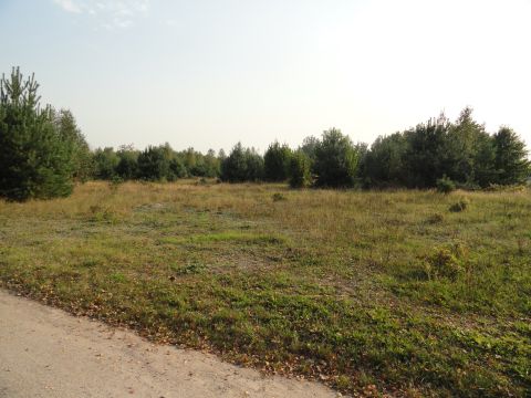 Sprzedaż Działka Józefów, pow. bełchatowski