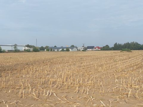 Sprzedaż Działka Warszawska, Głogowo, pow. toruński
