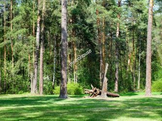 Działka na sprzedaż, Bialski, Rogoźniczka