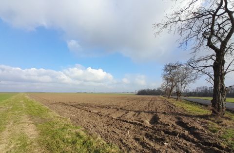 Sprzedaż Działka Zarzysko, pow. oleśnicki