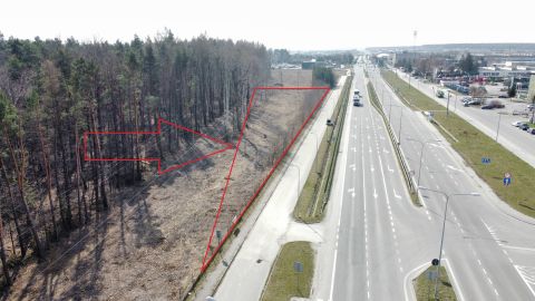 Sprzedaż Działka Ściegiennego, Barwinek, Kielce