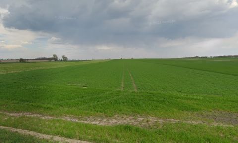 Sprzedaż Działka Perzyny, pow. nowotomyski