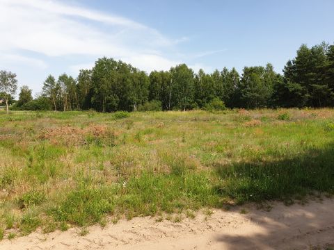 Sprzedaż Działka Blinno, pow. sierpecki
