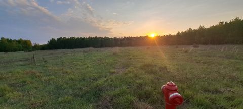 Sprzedaż Działka Anielin, pow. łaski