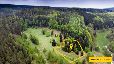 Sprzedaż Działka Duszniki-Zdrój, pow. kłodzki