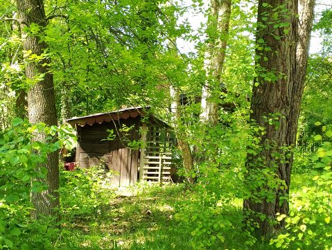 Sprzedaż Działka Gościniec Warecki, Zalesie Górne, pow. piaseczyński