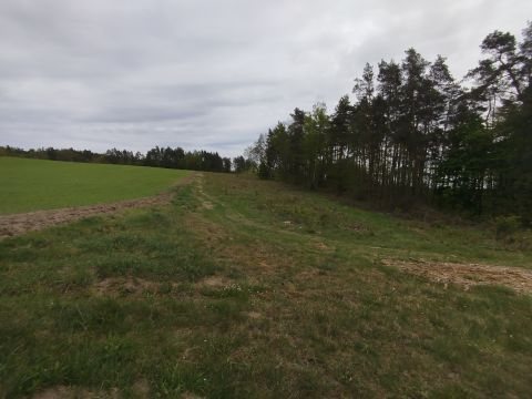 Sprzedaż Działka Parkowa, Dębnica Kaszubska, pow. słupski