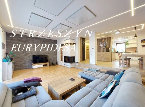 Sprzedaż Dom Eurypidesa, Strzeszyn, Poznań