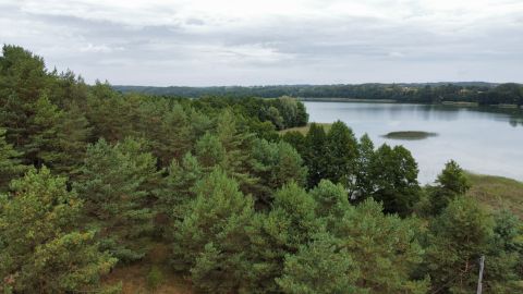 Sprzedaż Działka Rybno, pow. działdowski