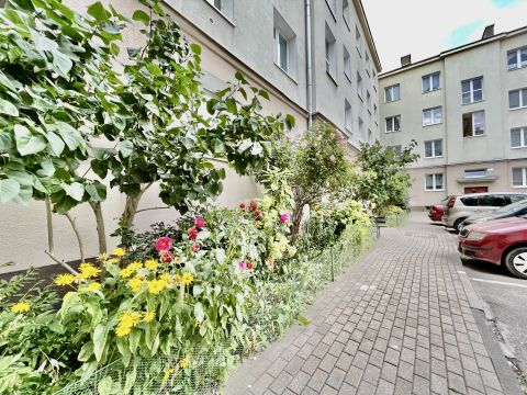 Sprzedaż Mieszkanie Zielna, Bałuty, Łódź