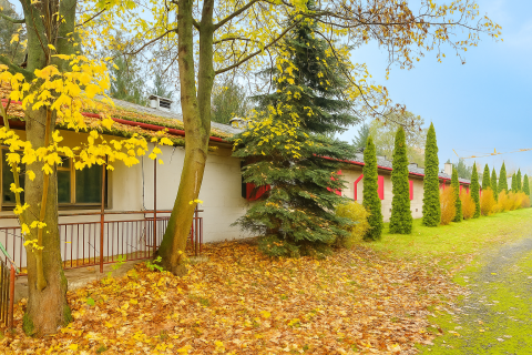 Sprzedaż Działka Żwirowa, Wilcza Góra, pow. piaseczyński