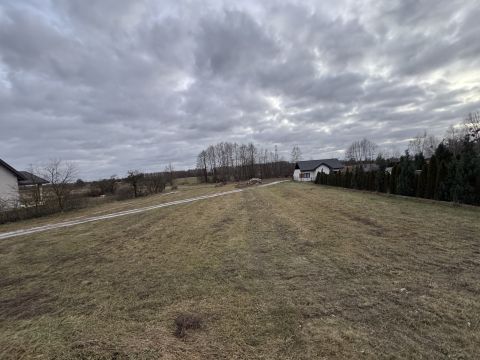 Sprzedaż Działka Piaskowa, Gołąb, pow. puławski