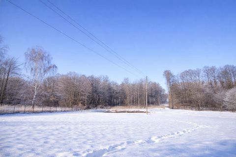 Sprzedaż Działka Stare Byliny, pow. rawski