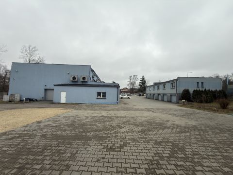 Wynajem Lokal handlowo-usługowy Aleja Kołłątaja, Będzin
