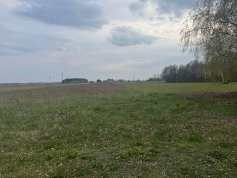 Sprzedaż Działka Kampinos, pow. warszawski zachodni
